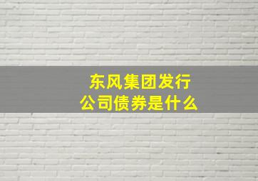 东风集团发行公司债券是什么