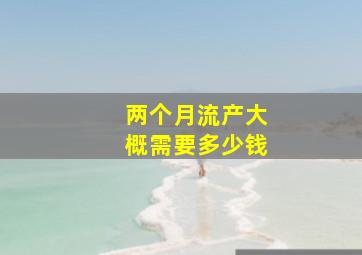 两个月流产大概需要多少钱