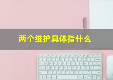 两个维护具体指什么