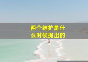 两个维护是什么时候提出的