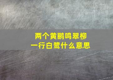 两个黄鹂鸣翠柳一行白鹭什么意思