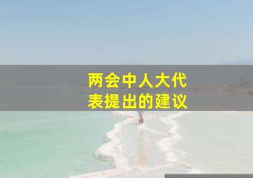 两会中人大代表提出的建议