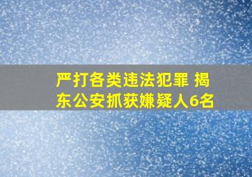 严打各类违法犯罪 揭东公安抓获嫌疑人6名