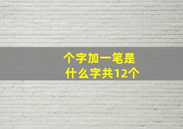 个字加一笔是什么字共12个