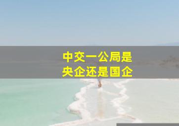 中交一公局是央企还是国企