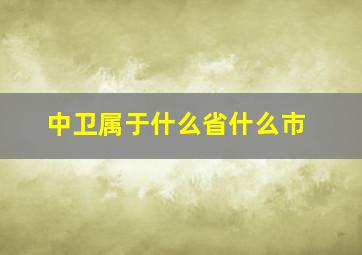 中卫属于什么省什么市