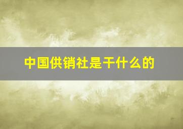 中国供销社是干什么的