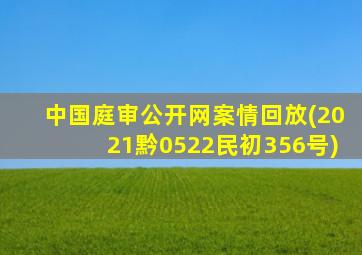 中国庭审公开网案情回放(2021黔0522民初356号)