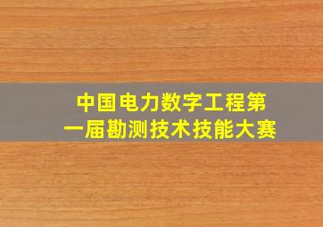 中国电力数字工程第一届勘测技术技能大赛