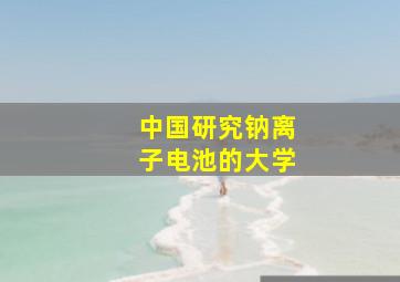 中国研究钠离子电池的大学