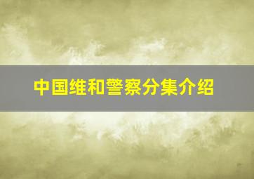 中国维和警察分集介绍