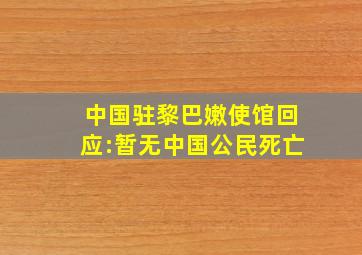 中国驻黎巴嫩使馆回应:暂无中国公民死亡