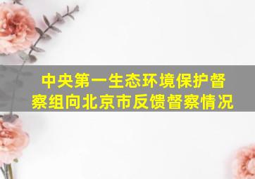 中央第一生态环境保护督察组向北京市反馈督察情况