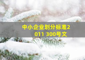 中小企业划分标准2011 300号文