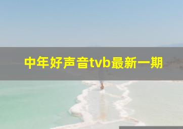 中年好声音tvb最新一期