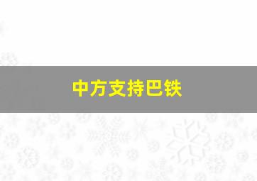 中方支持巴铁