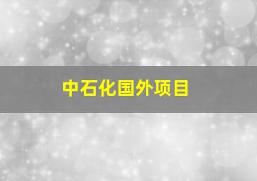 中石化国外项目