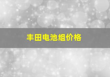 丰田电池组价格