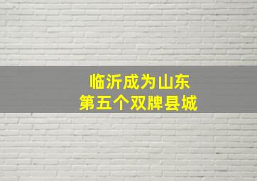 临沂成为山东第五个双牌县城