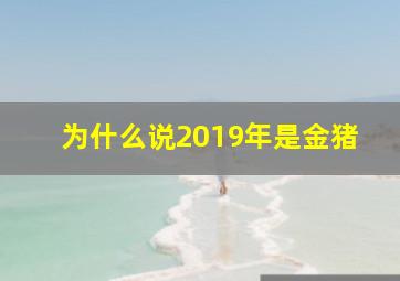 为什么说2019年是金猪