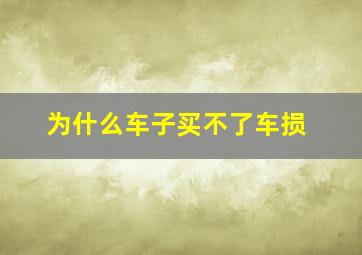 为什么车子买不了车损