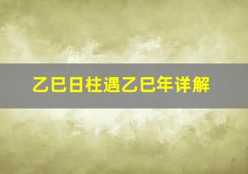 乙巳日柱遇乙巳年详解