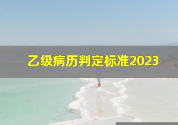 乙级病历判定标准2023