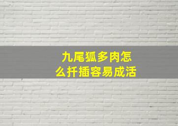 九尾狐多肉怎么扦插容易成活