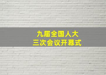 九届全国人大三次会议开幕式