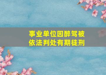 事业单位因醉驾被依法判处有期徒刑