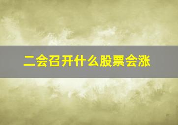 二会召开什么股票会涨