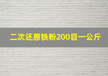 二次还原铁粉200目一公斤