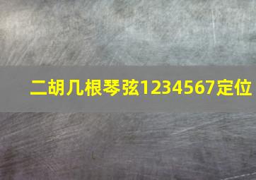 二胡几根琴弦1234567定位