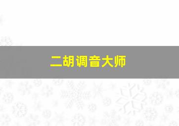 二胡调音大师