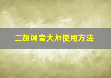 二胡调音大师使用方法