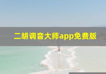 二胡调音大师app免费版