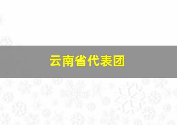 云南省代表团