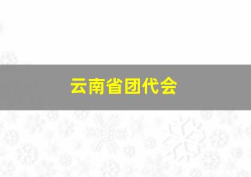 云南省团代会