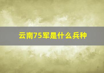 云南75军是什么兵种