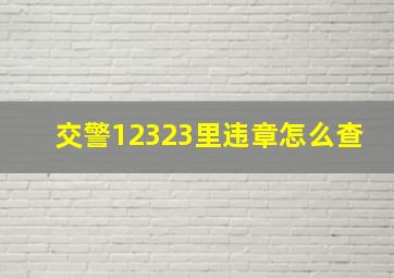 交警12323里违章怎么查