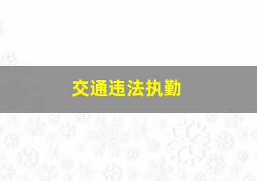 交通违法执勤