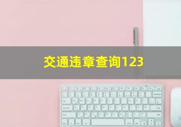 交通违章查询123