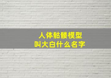 人体骷髅模型叫大白什么名字