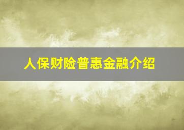 人保财险普惠金融介绍