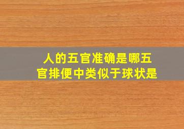 人的五官准确是哪五官排便中类似于球状是