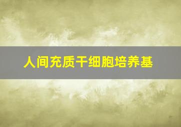 人间充质干细胞培养基