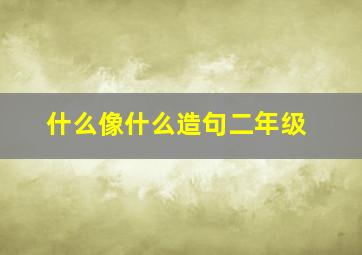 什么像什么造句二年级