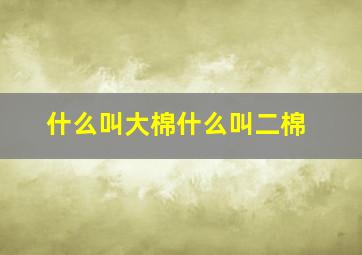 什么叫大棉什么叫二棉