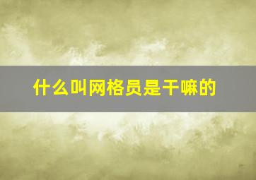 什么叫网格员是干嘛的