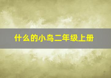 什么的小鸟二年级上册